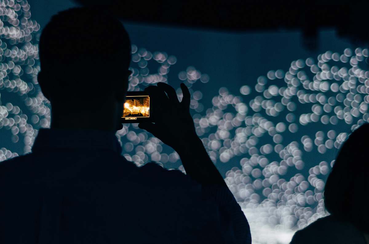 invertebrate silhouette of person holding smartphone displaying bokeh lights jellyfish