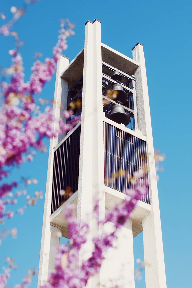 building white high rise building tower