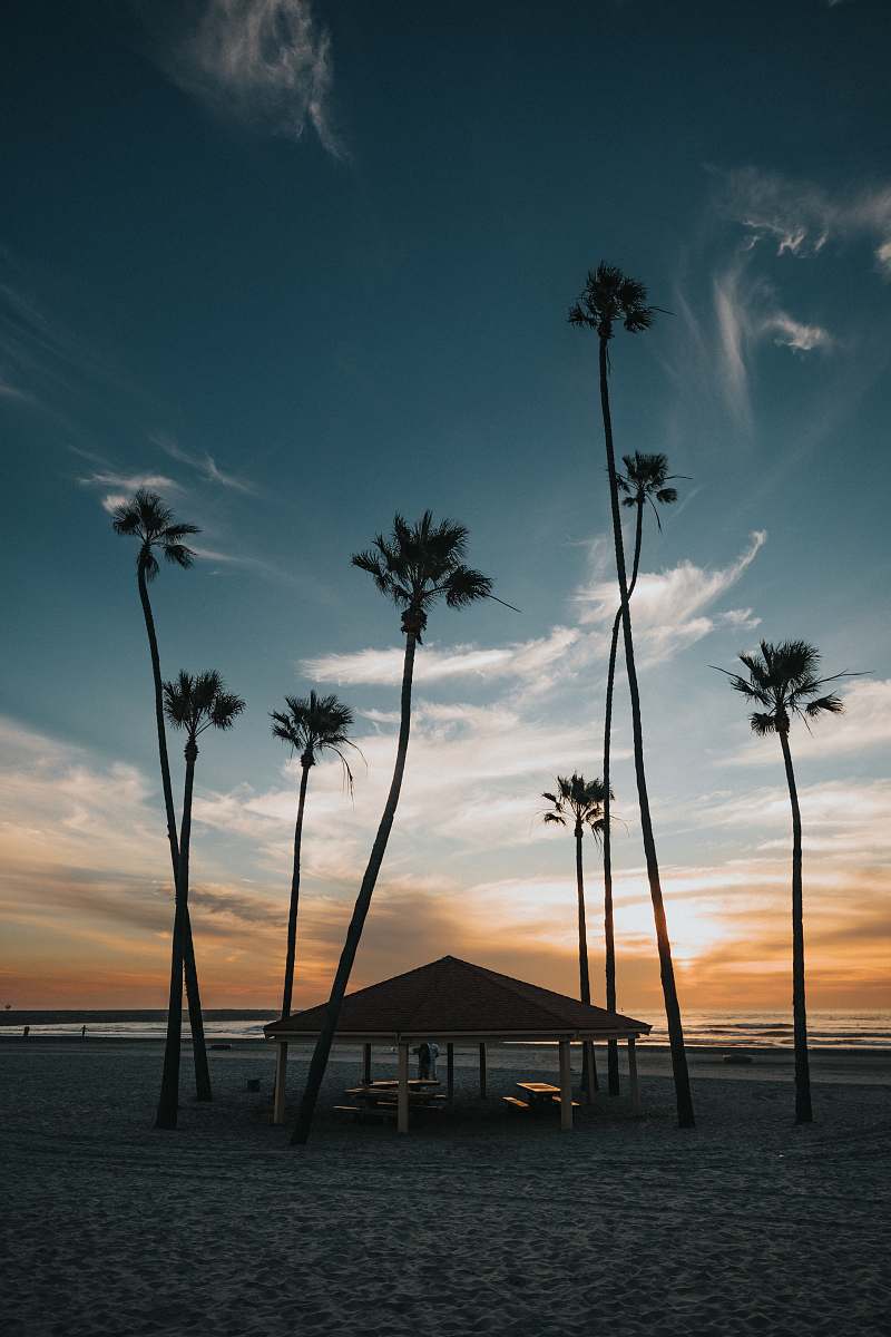 summer shed near trees and shore oceanside