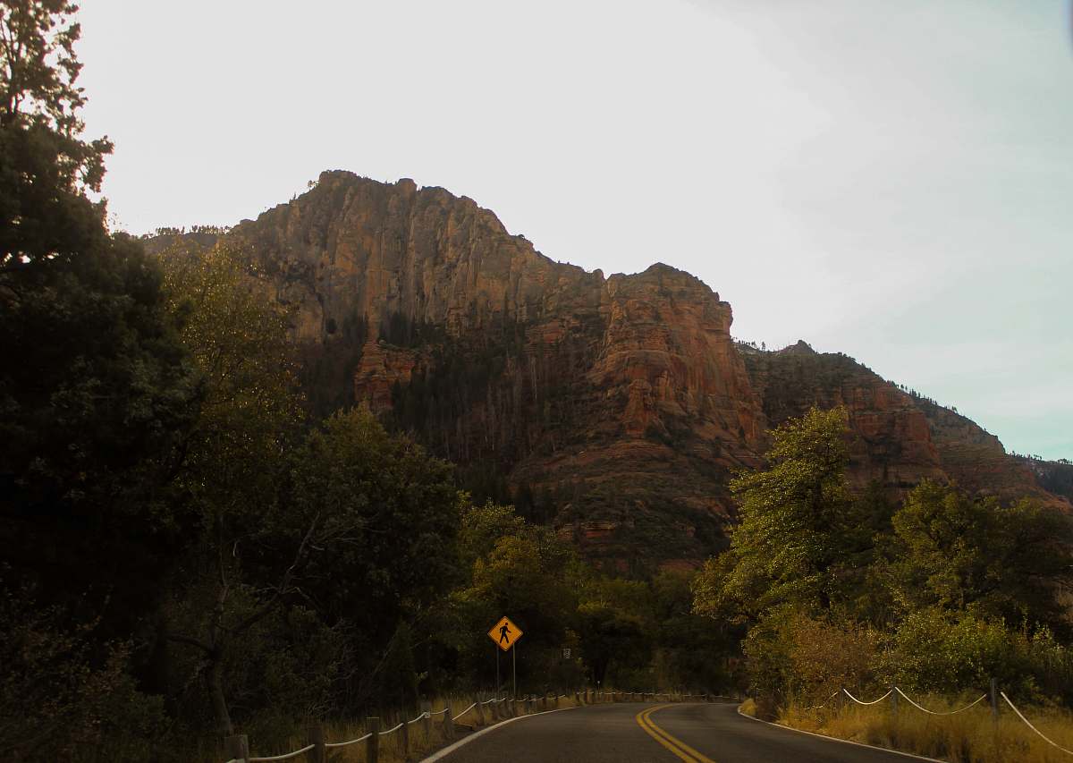 freeway mountain surrounded by trees highway