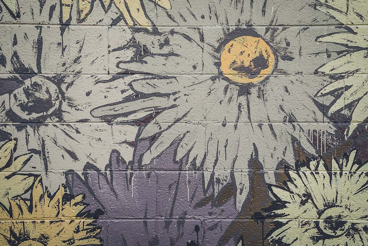 painting  graffiti