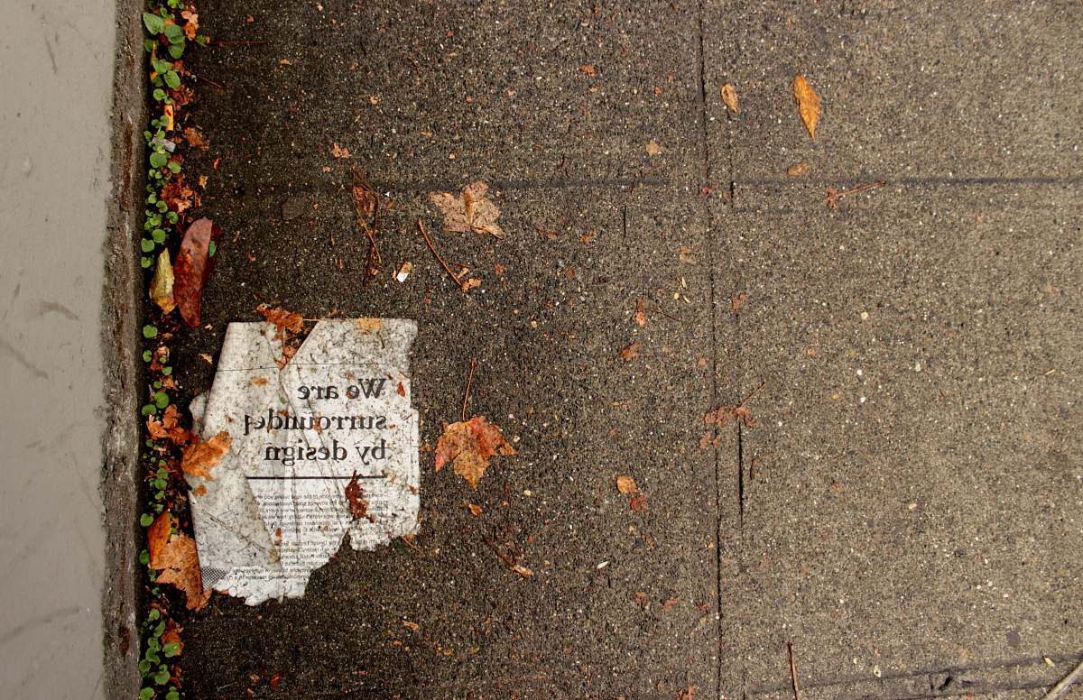 Experience a captivating blend of nature and urban design in this striking scene where a tarmac unfolds beneath a layer of creatively printed newspapers. The composition is further enriched by scattered dried leaves, setting a serene backdrop at Capitol Hill. This image evokes a sense of storytelling, perfect for editorial use, environmental awareness campaigns, or design projects that seek to merge the organic with the artistic. Capture the essence of urban life juxtaposed with nature's beauty.