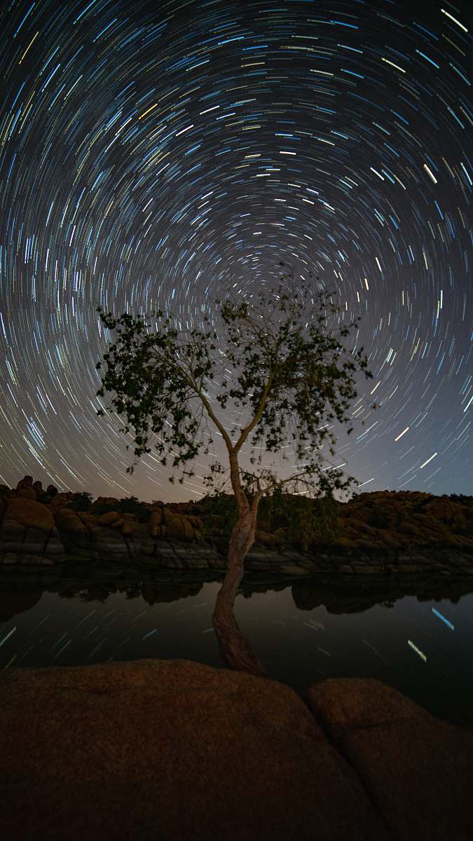 universe time lapse photography of tree space
