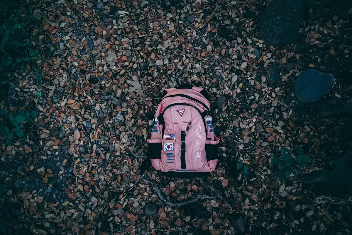 bag pink and black backpackl california