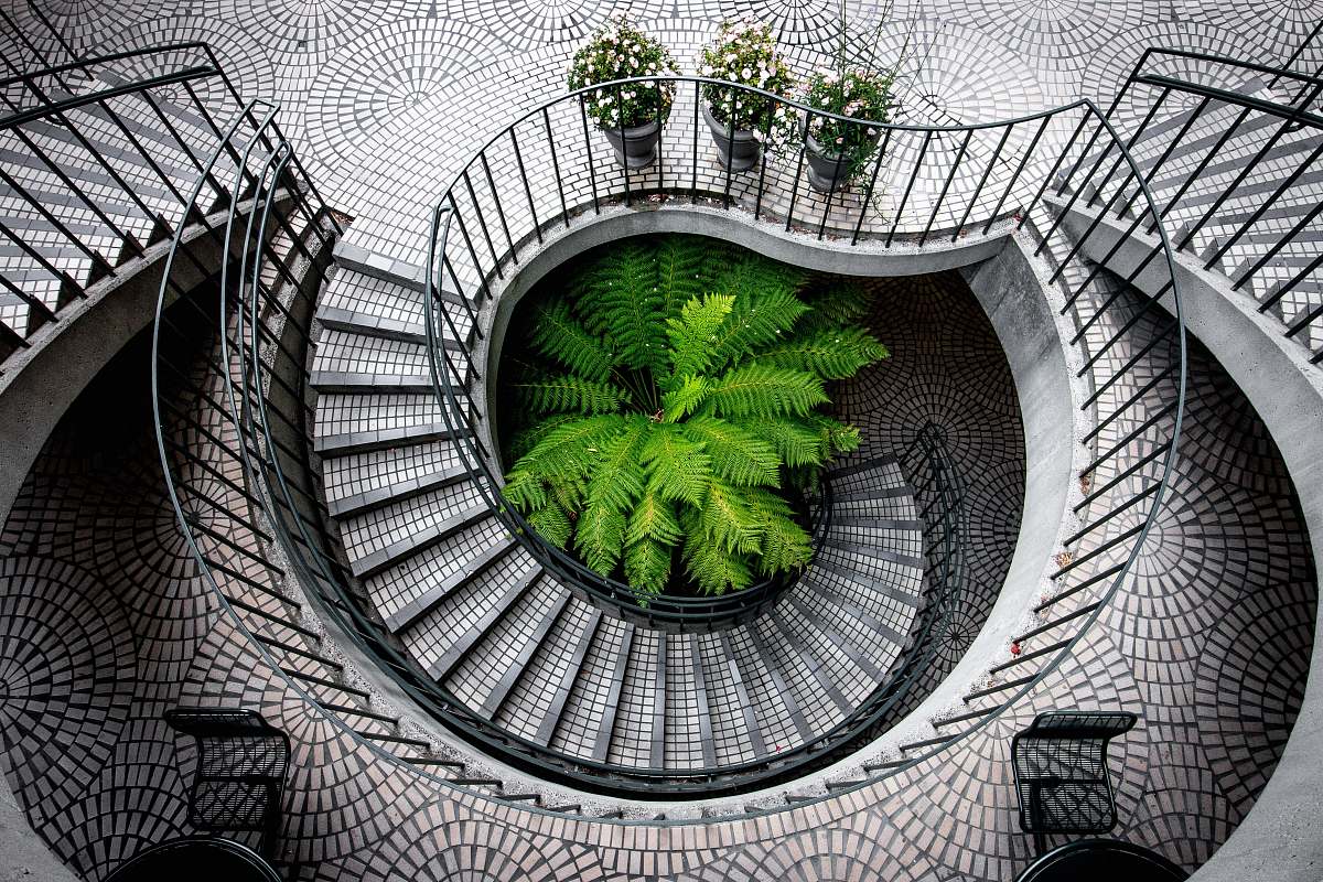 handrail green tree under stair inside building twisted
