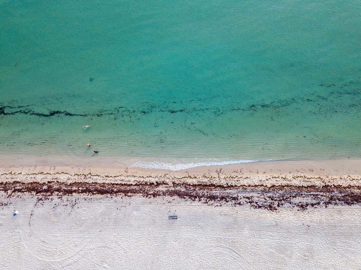 nature aerial photography of beach coast