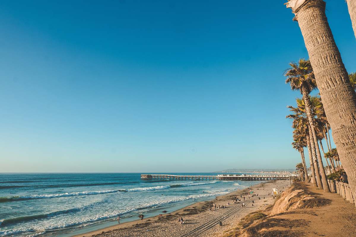 ocean palm tree on seashore near body of water architecture