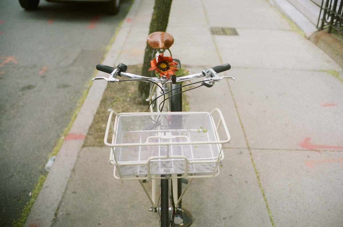 bike selective focus photography of beach cruiser bike flower