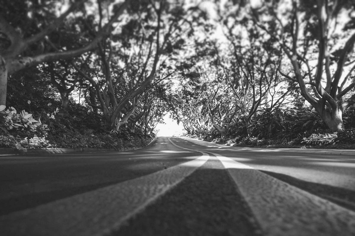 road grayscale photography of concrete road maui county