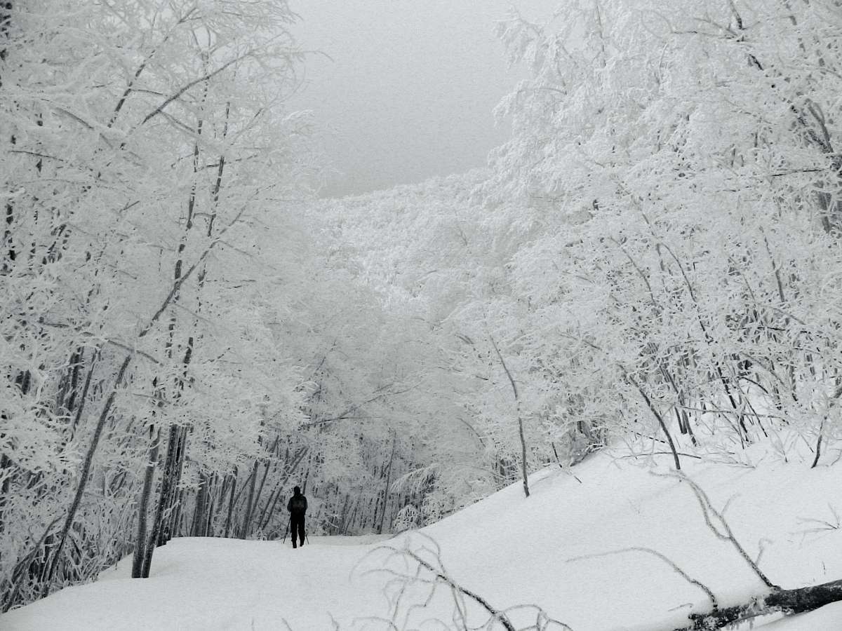 grey man walking on snow covered hills during daytime snow