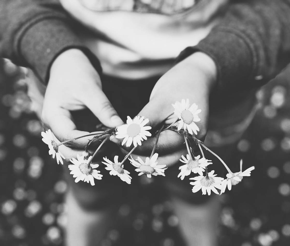 grey person holding white flowers plant
