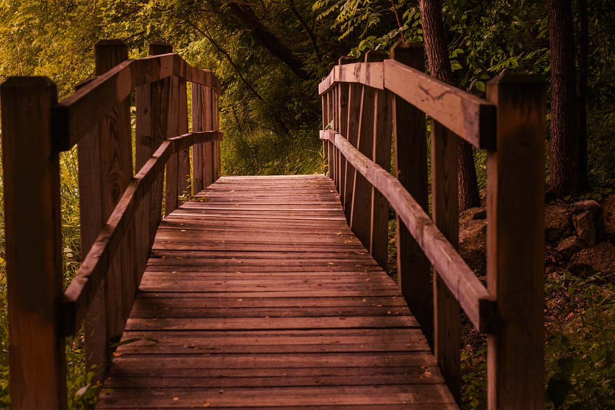 path empty brown wooden bridge boardwalk
