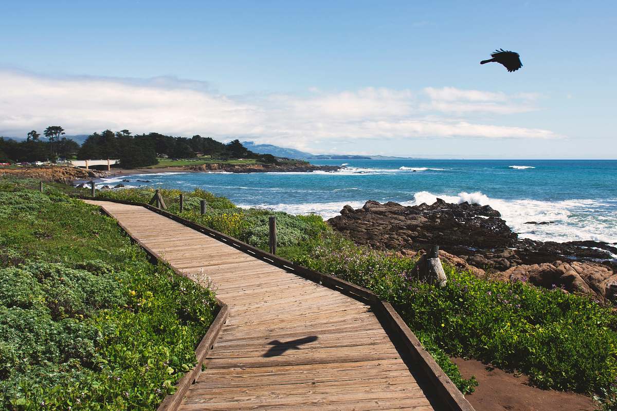 boardwalk brown wooden bridge near ocean during daytime bridge