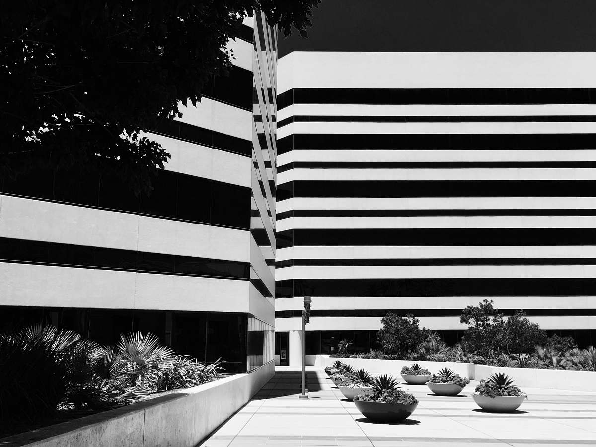 black-and-white gray scale photography of building el segundo