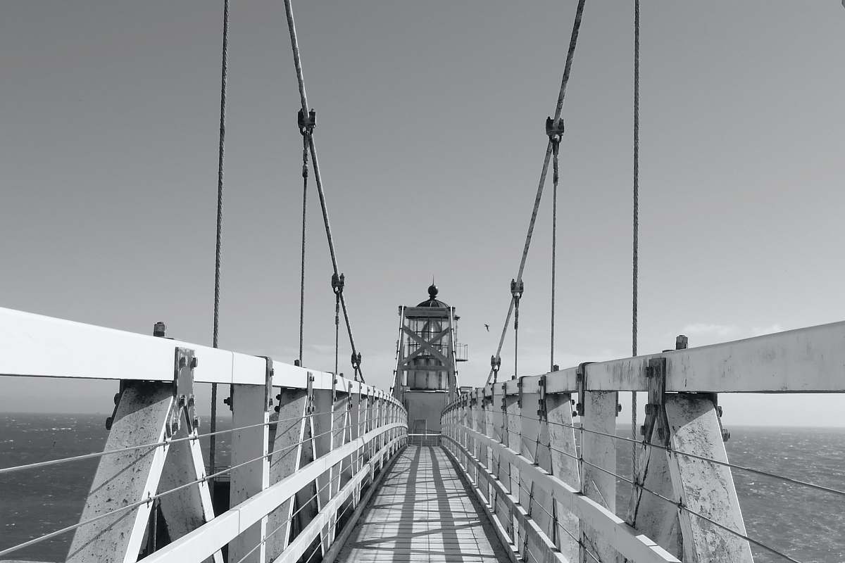 grey grayscale photography of wooden dock black-and-white