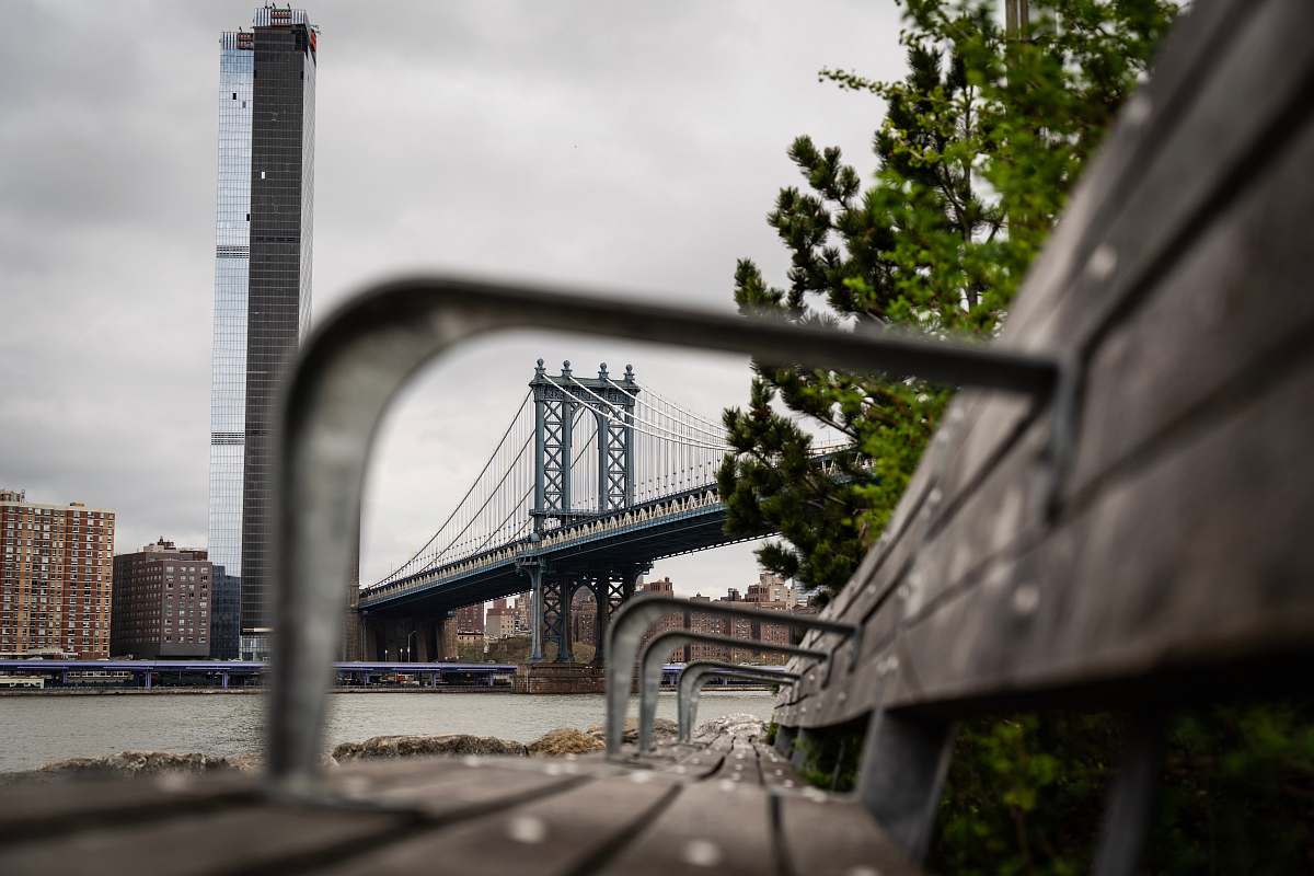 dumbo green plant beside bench new york city
