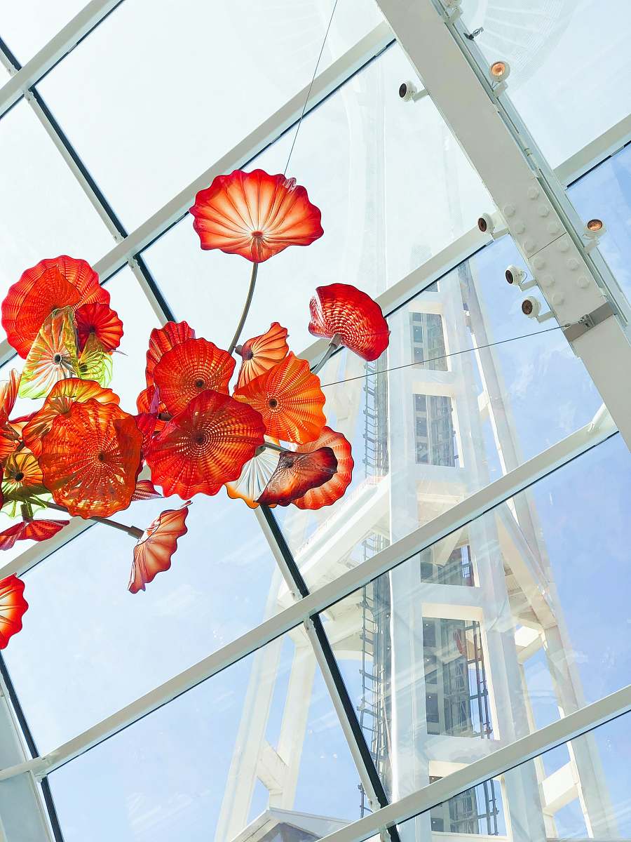 architecture red-petaled flowers plant
