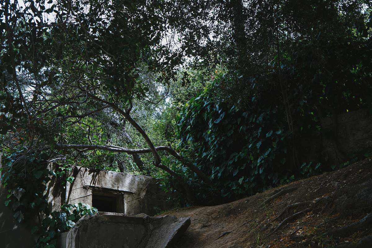 building green and brown trees griffith park zoo