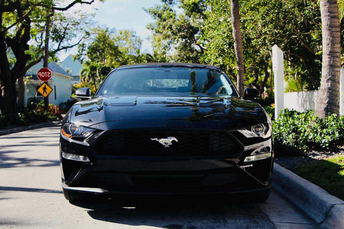 flora parked black Ford Mustang ivy