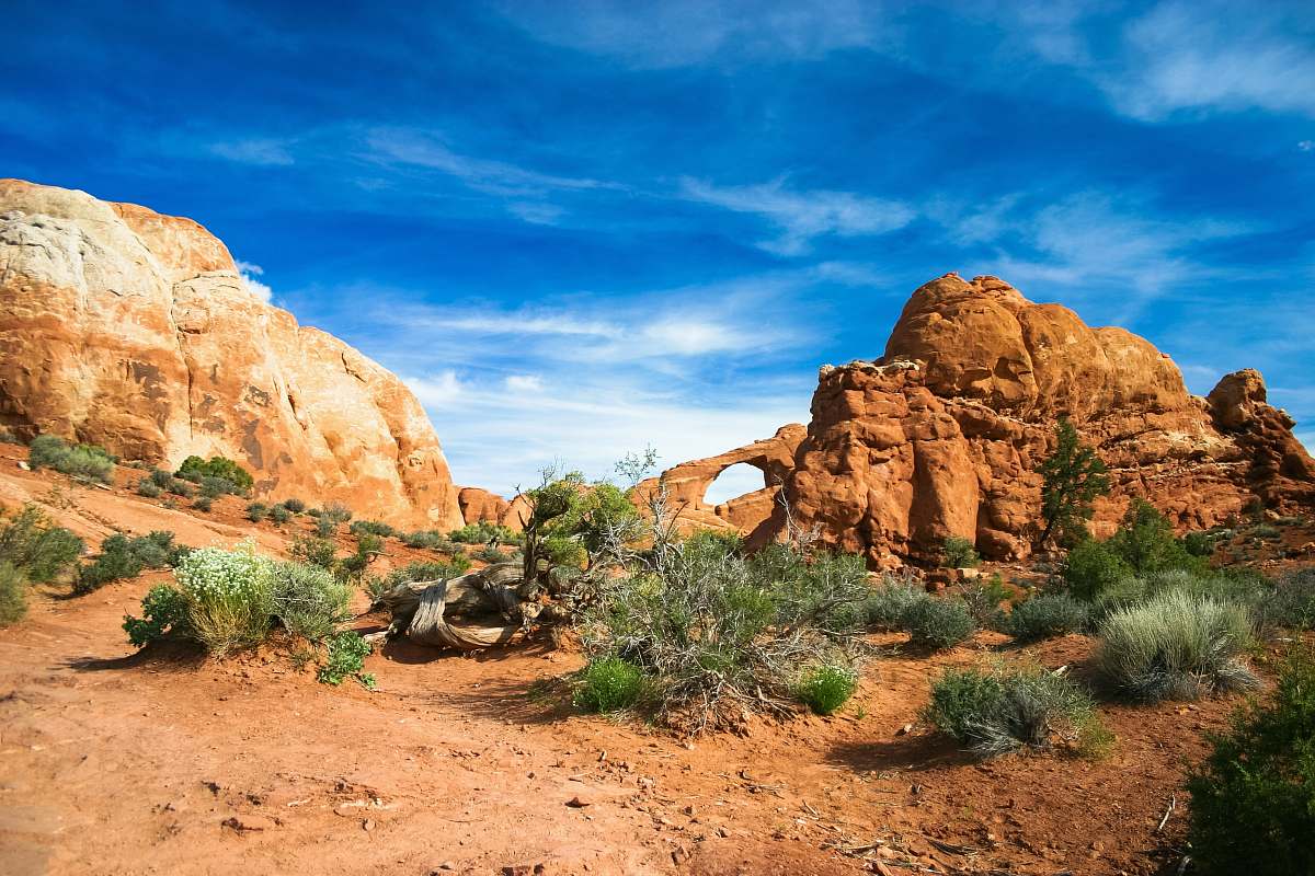 nature canyon park during daytime arches national park
