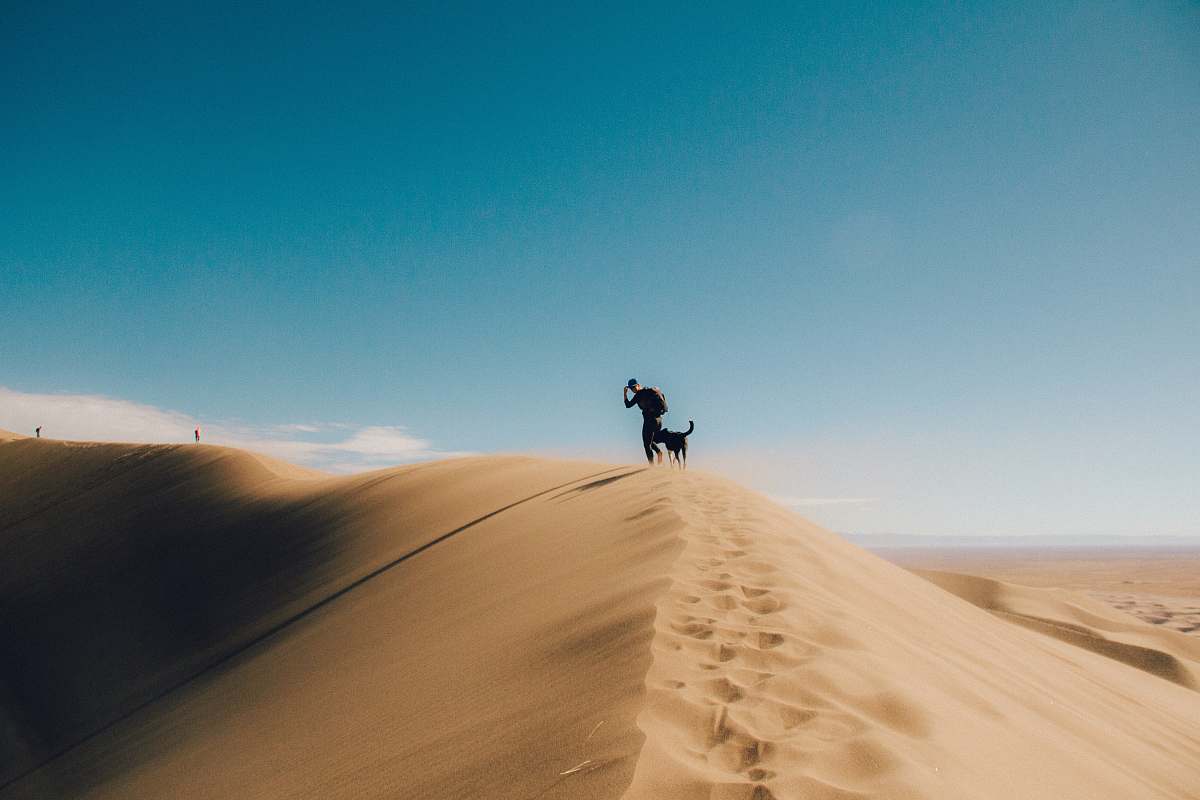 nature silhouette photo of person and dog on desert mountain dune