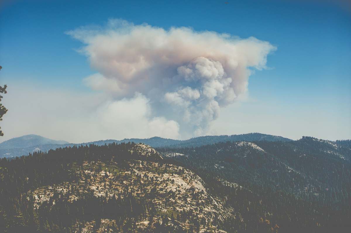 nature aerial photo of mountain covered with trees kings canyon national park