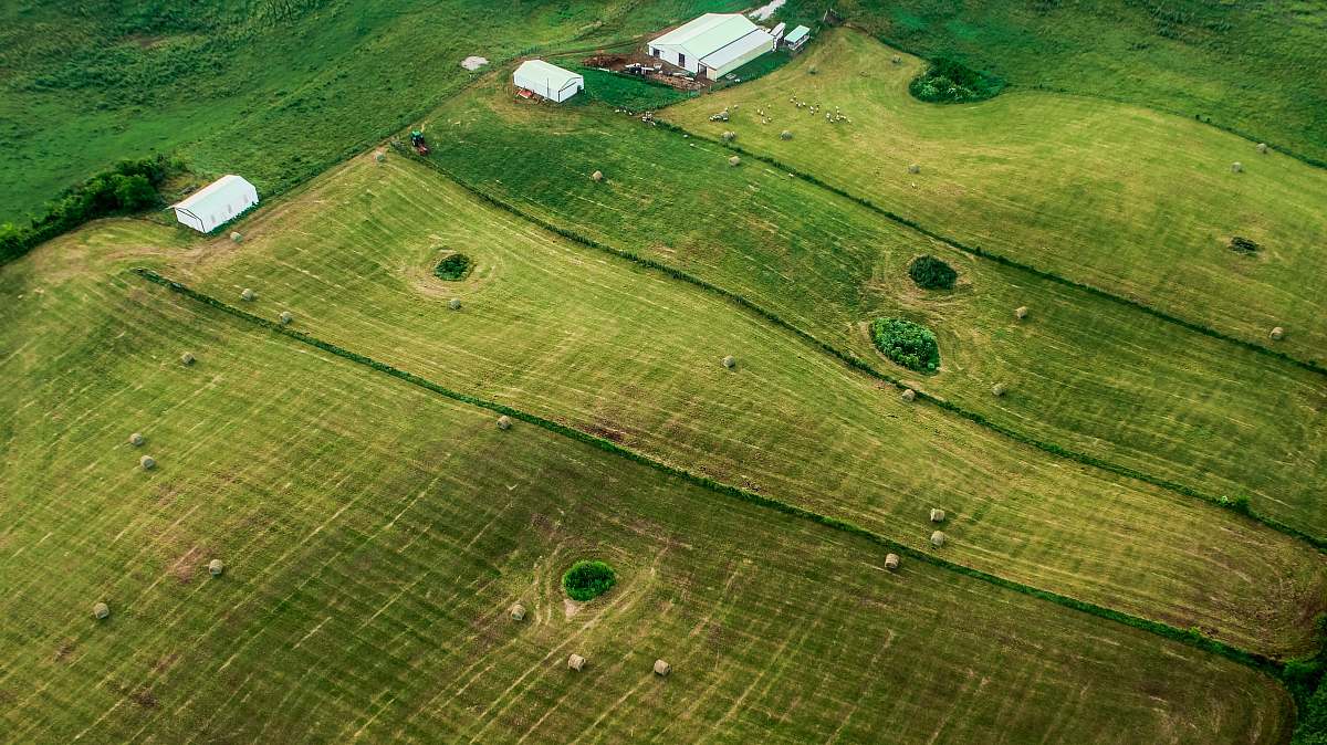 green aerial view of grass field with house outdoors