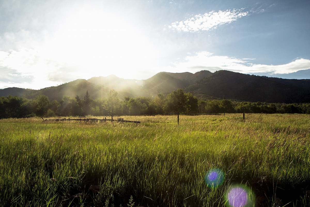 grassland grass field with mountain range grass