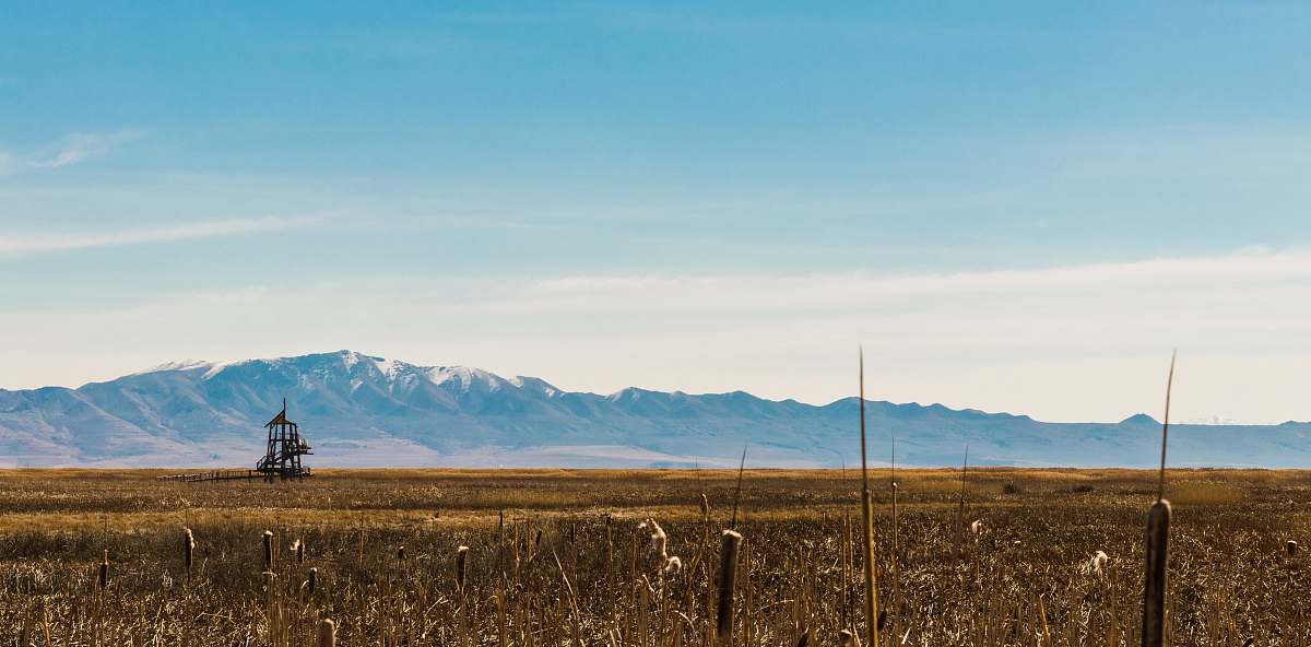 outdoors mountains and grasses grassland