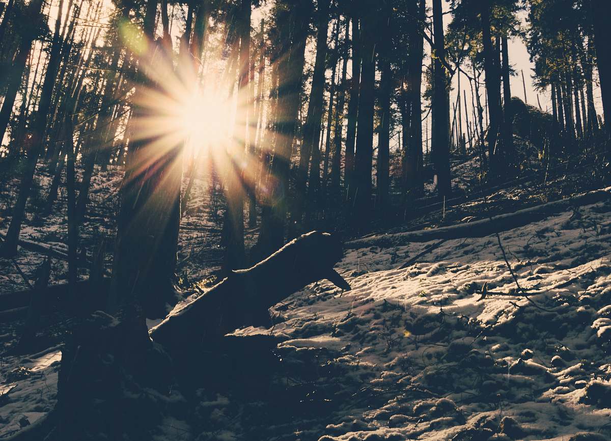light  sunlight