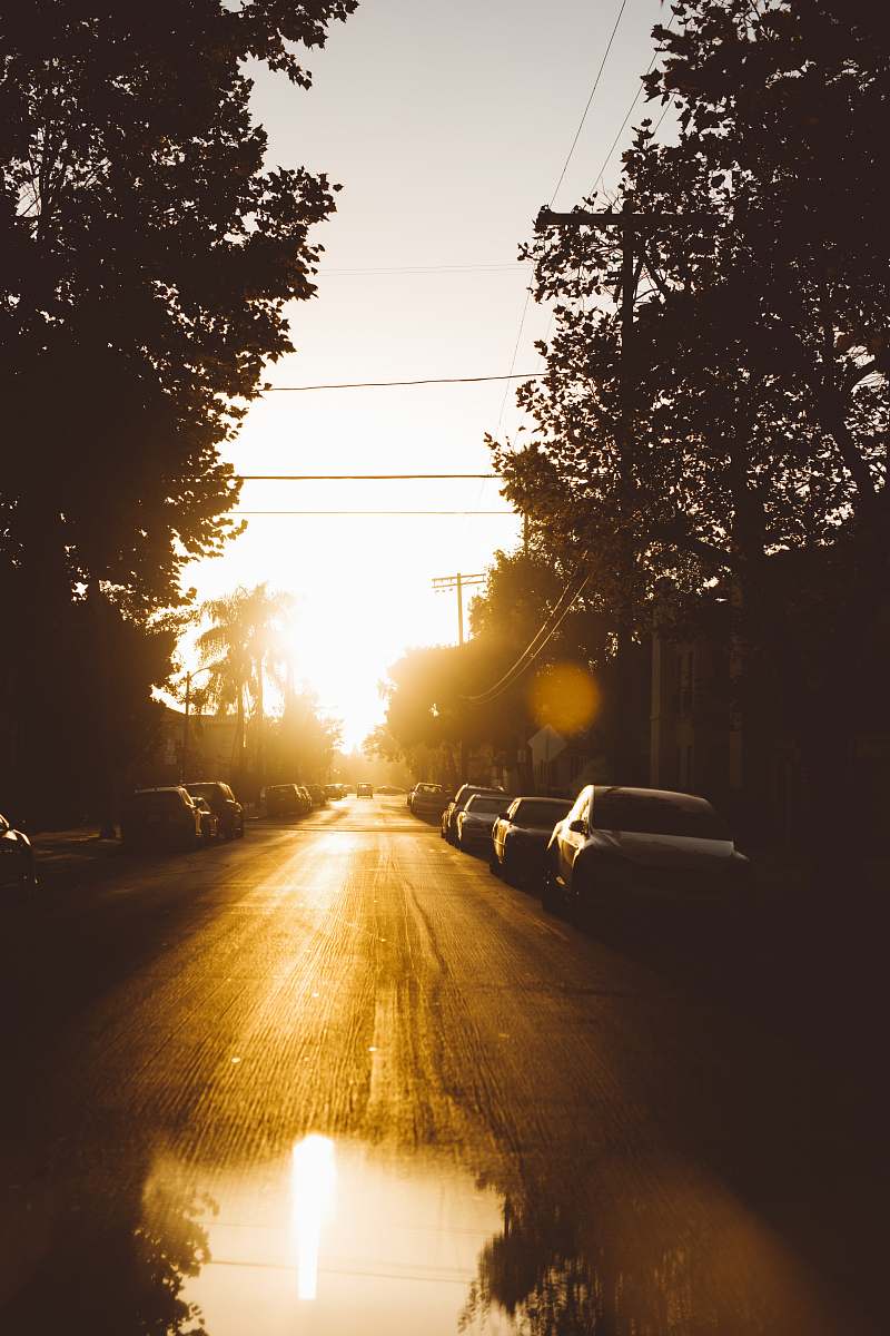 light silhouette photo of car parked under trees west hollywood