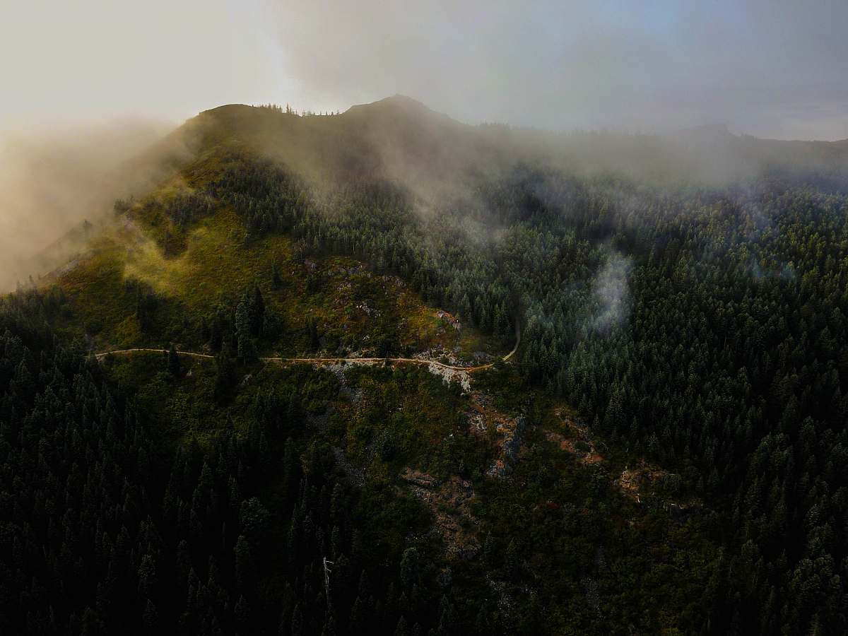 mist green trees mountain taken at daytime nature