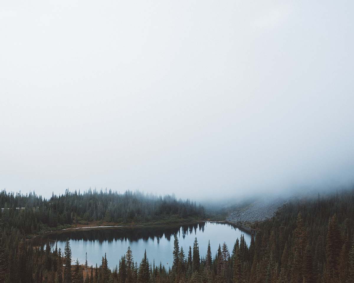 lake landscape photography of body of water between trees under foggy sky forest