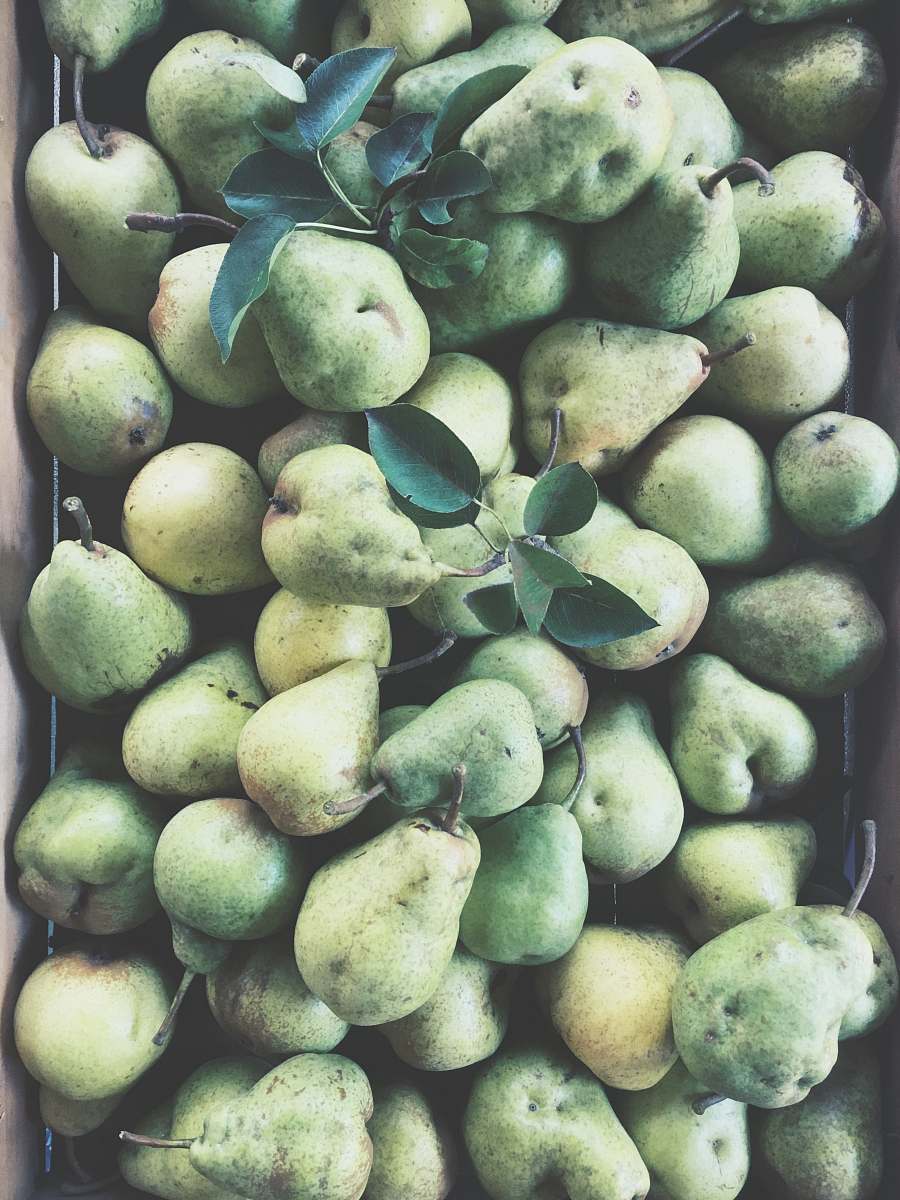 food bunch of gourd fruits produce