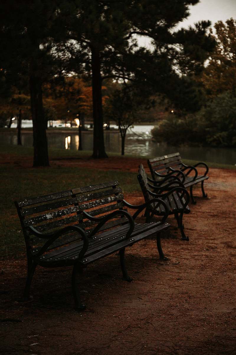 bench three brown metal benches near trees park bench