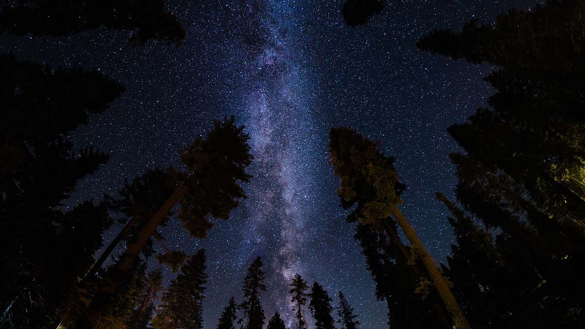 night low angle photography of stars at night astrophotography
