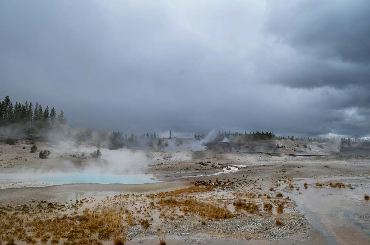 nature hot spring with green leaf trees during daytime water