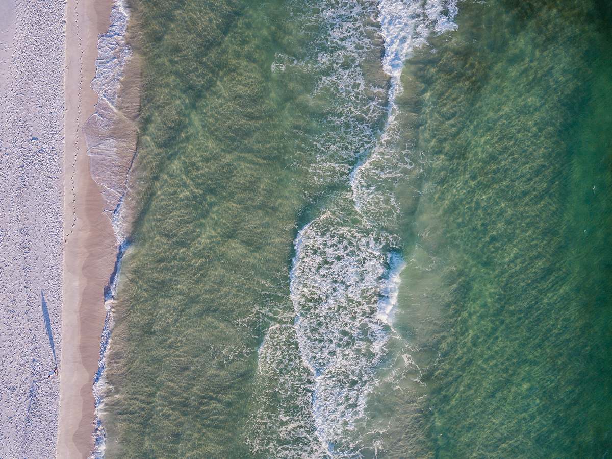 nature bird'eye view photography of forest near ocean landscape