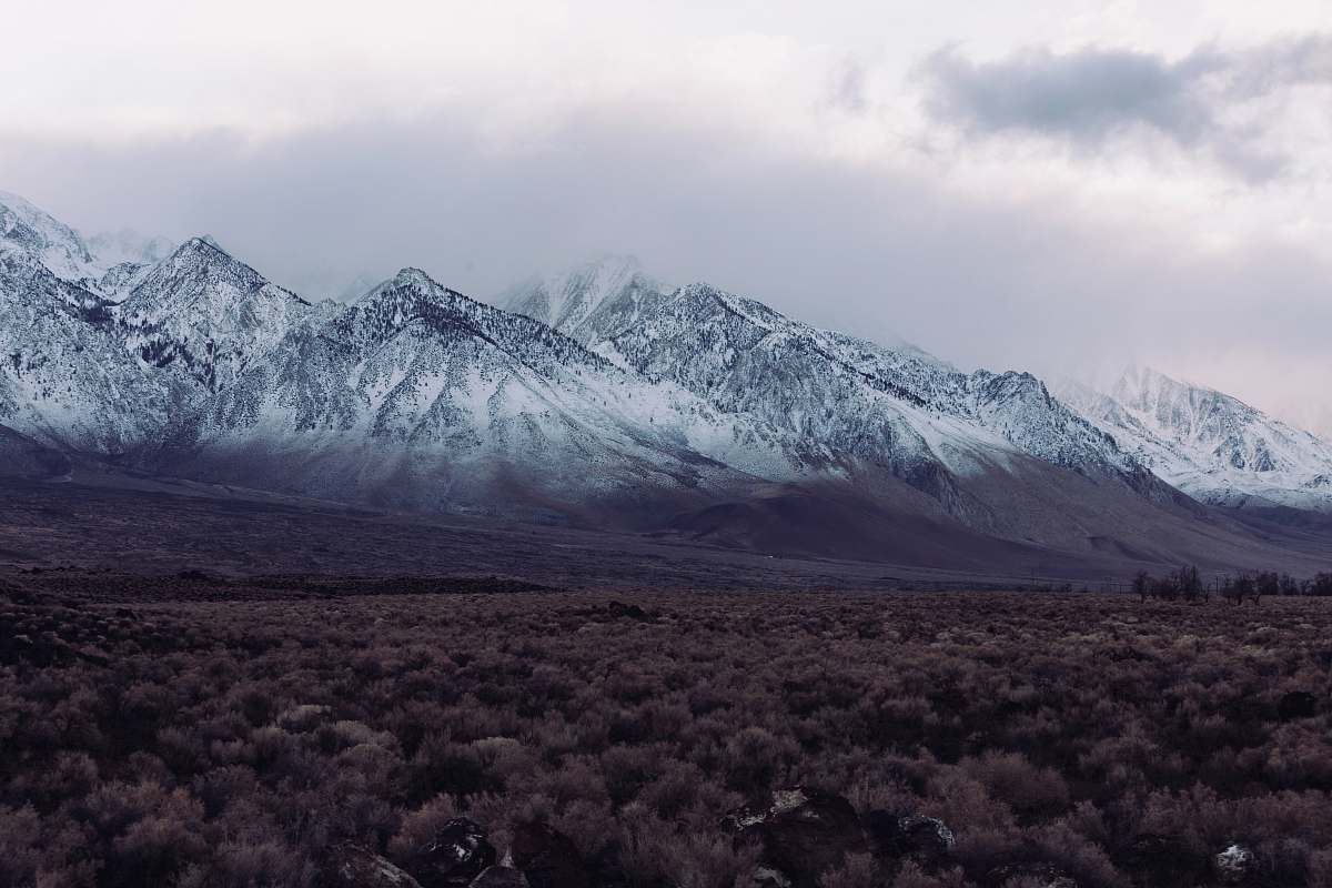 mountain brown forest snow