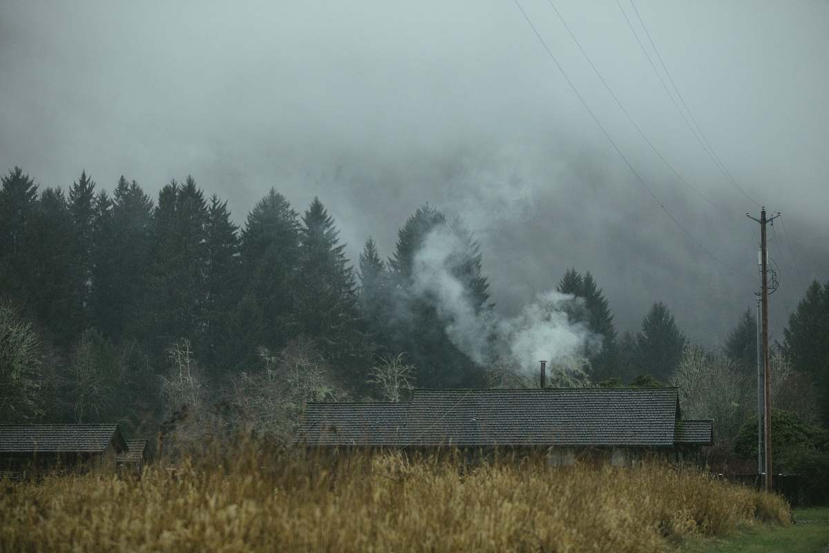 fog brown grass near building near trees with fogs at daytime nature