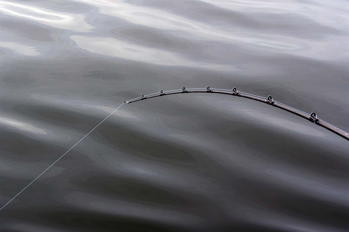 fishing fishing rod greyscale photography petersburg borough