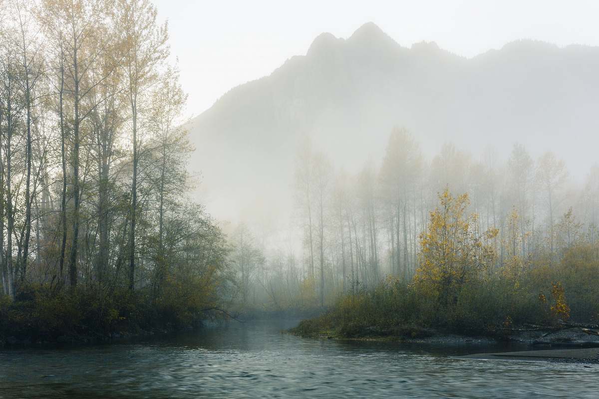 fog forest lake near on mountain snoqualmie