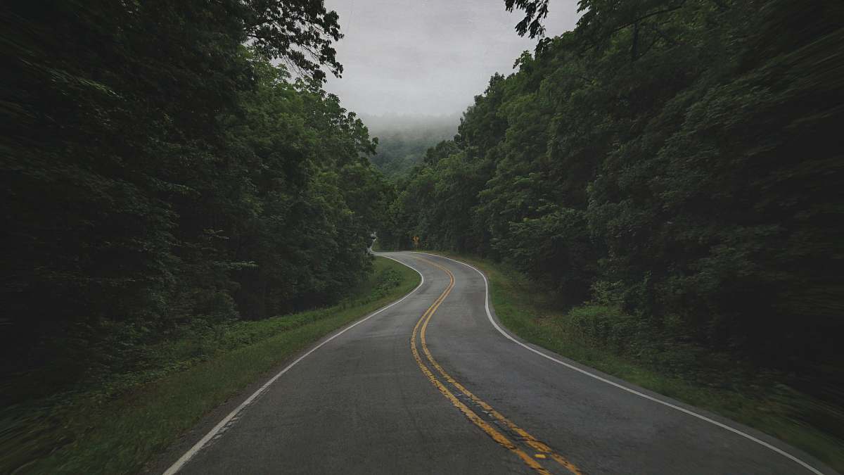 freeway gray concrete road between green trees under white sky during daytime highway