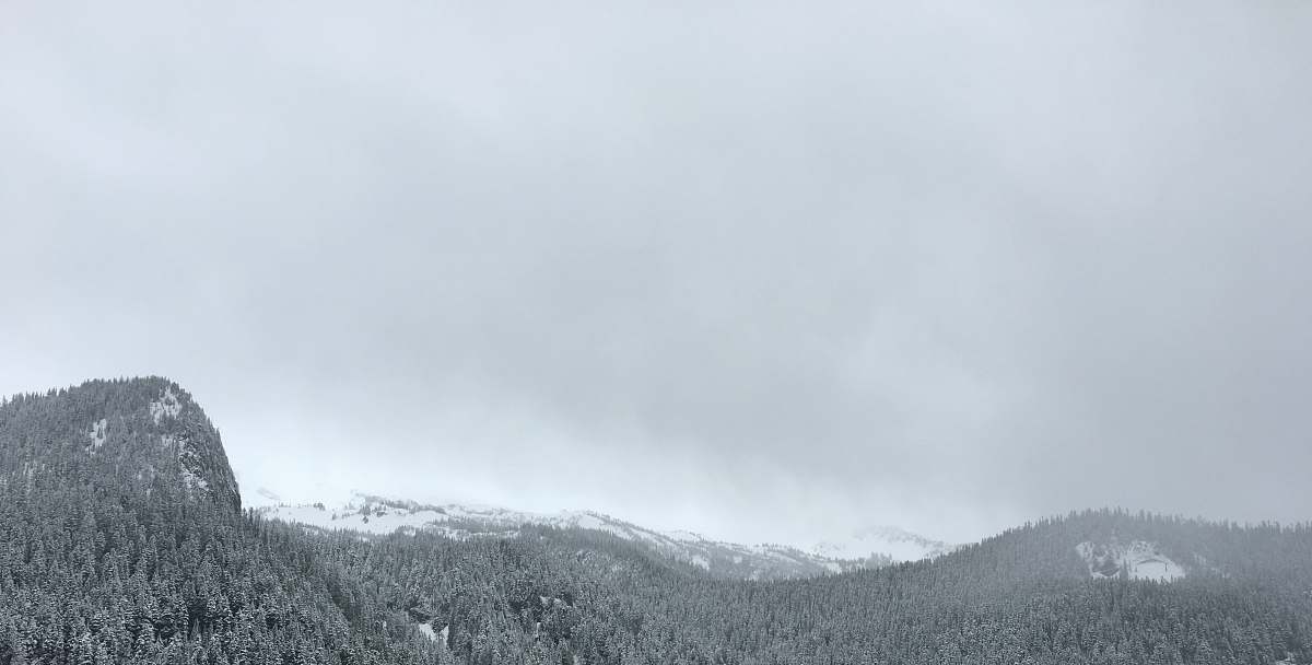 mountain grayscale photo of trees in front of mountain alps alps