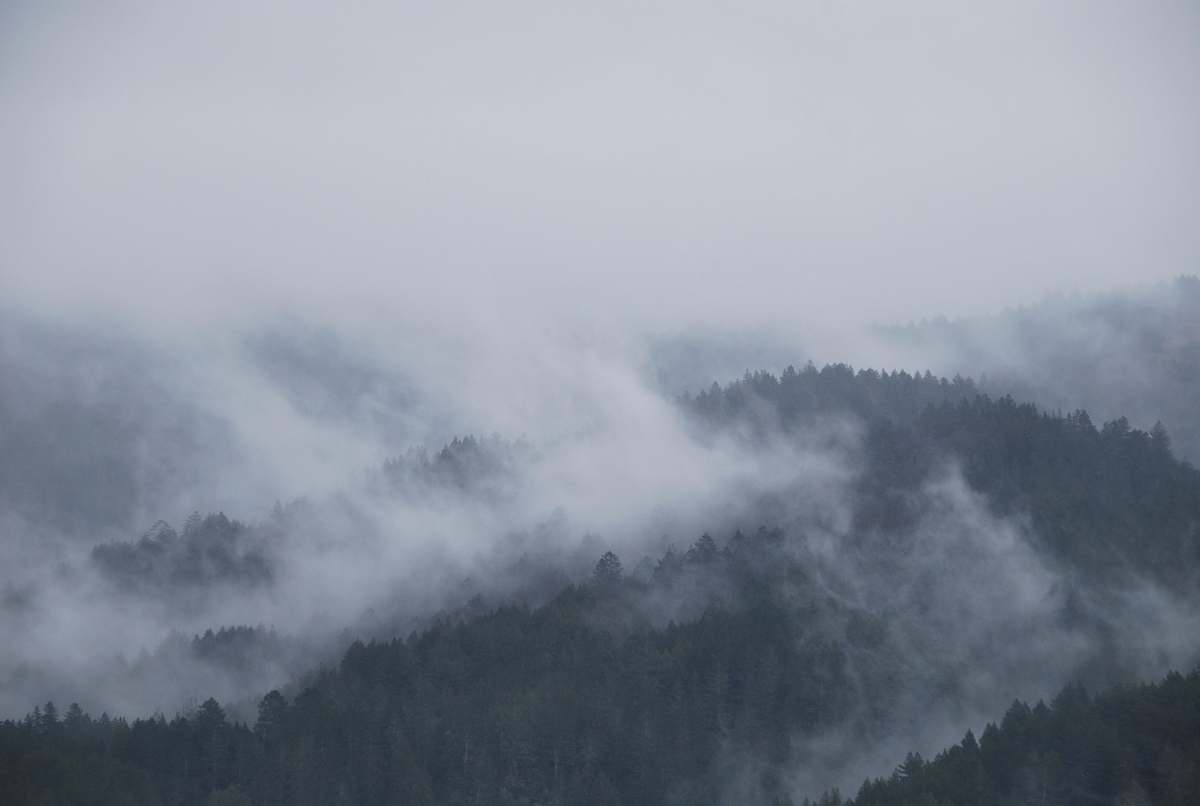 fog mountain covered with fogs mist