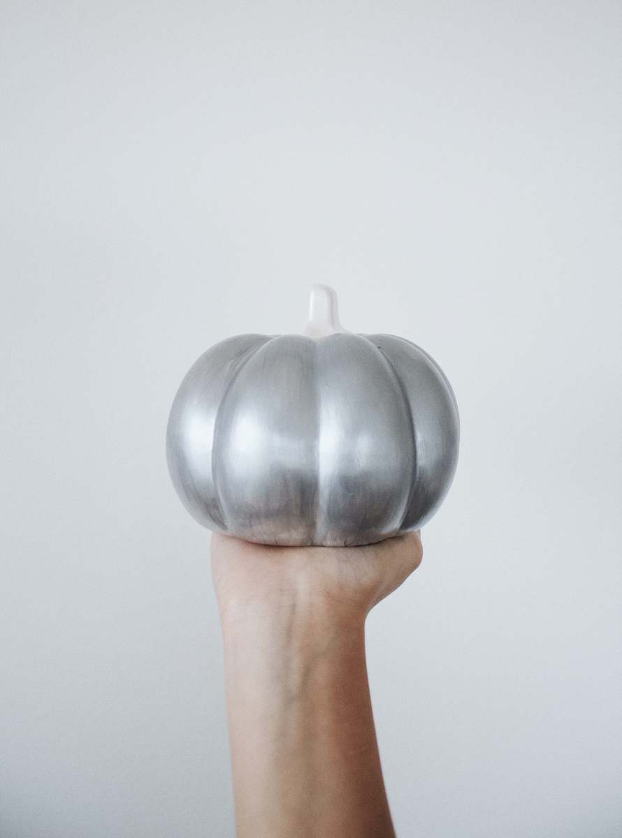 plant person holding silver round ornament pumpkin