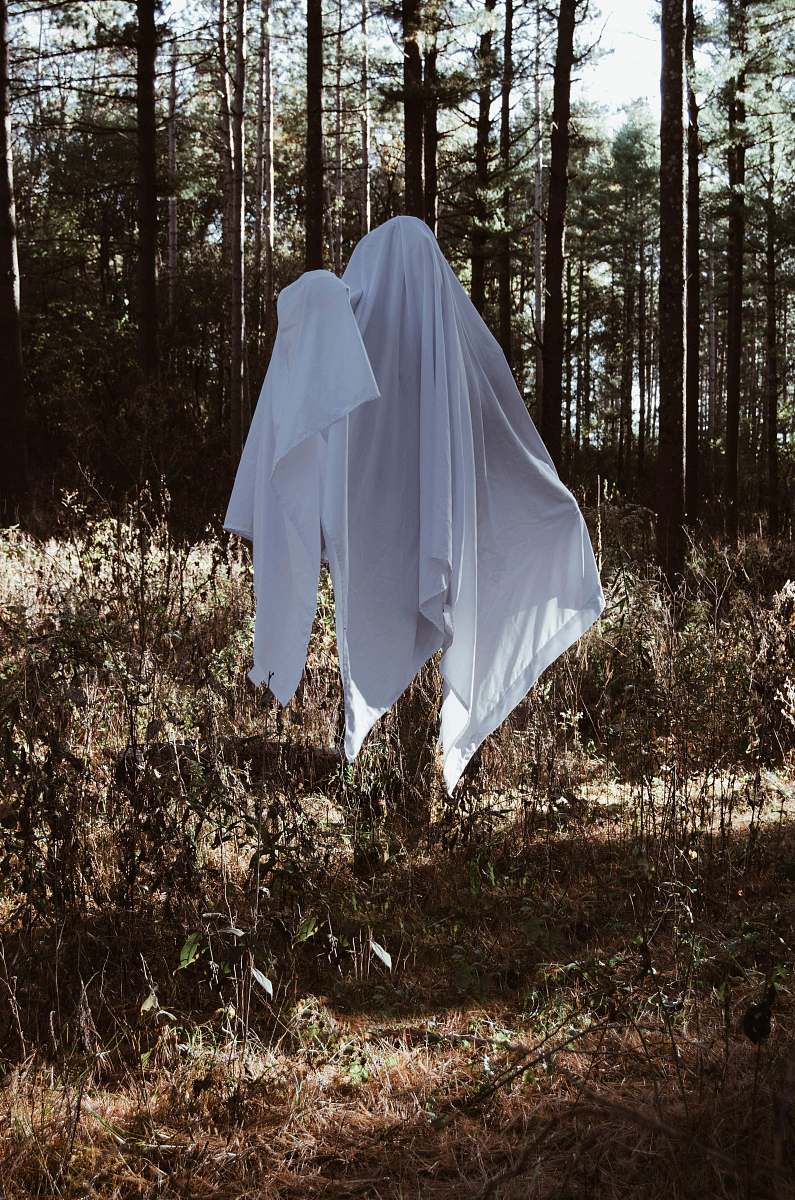 camping person wearing white textile under brown trees leisure activities