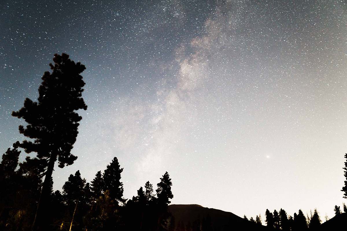 night silhouette of trees over sky with clouds astronomy