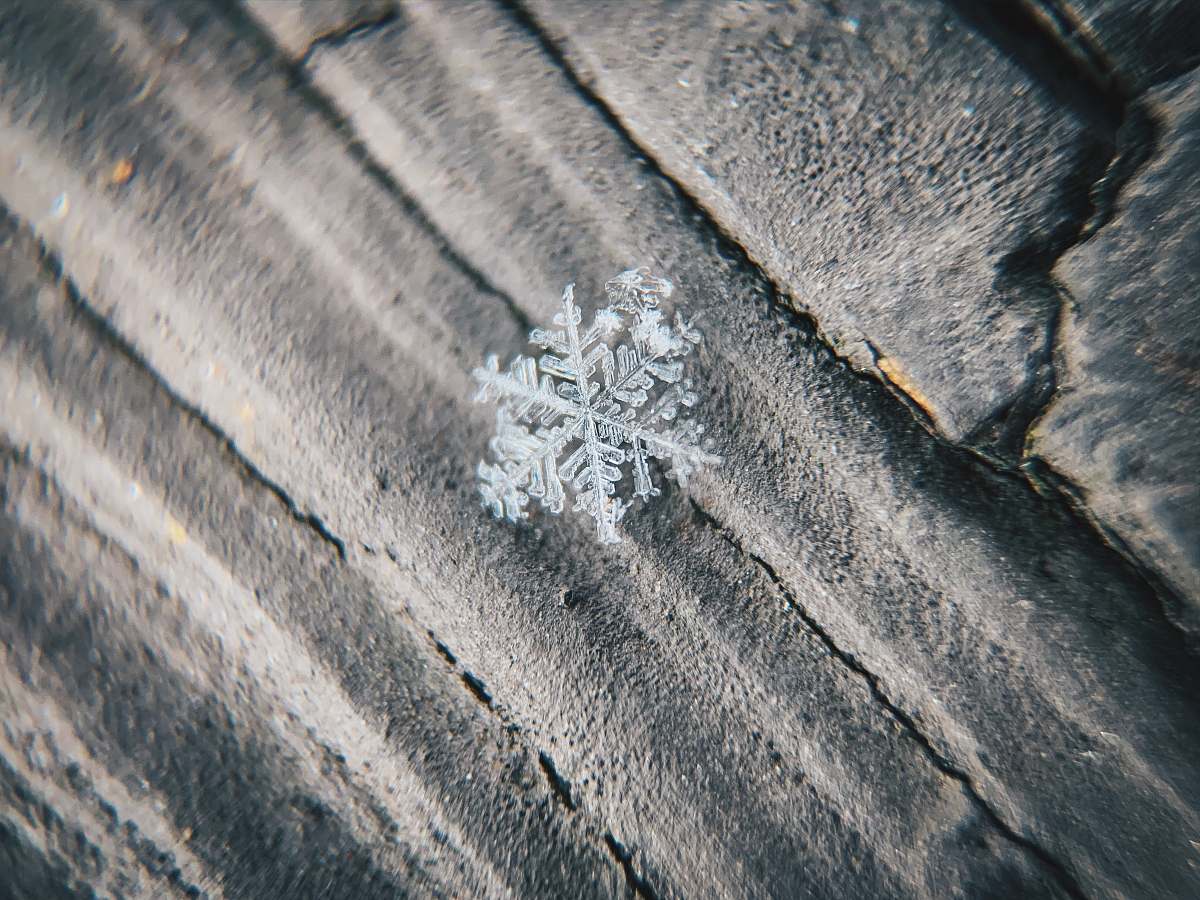 snowflake silver snowflake on gray wooden surface newport