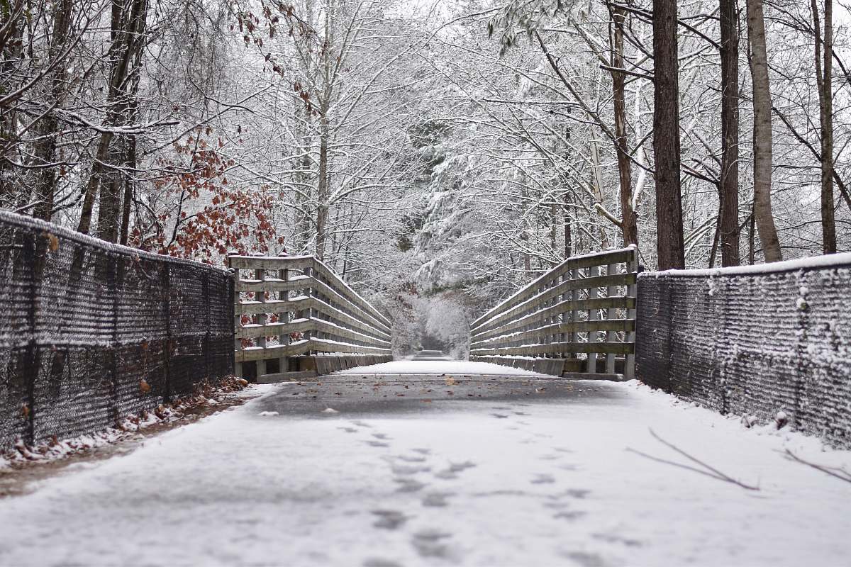 snow snow covered bridge in between lined trees blizzard